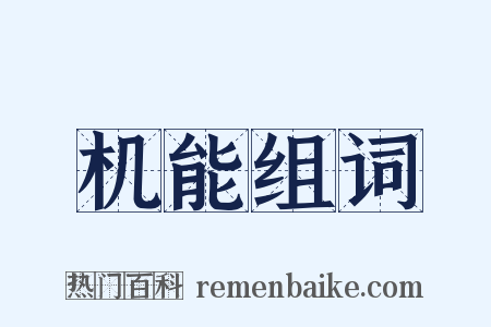 机能组词是什么意思的图片